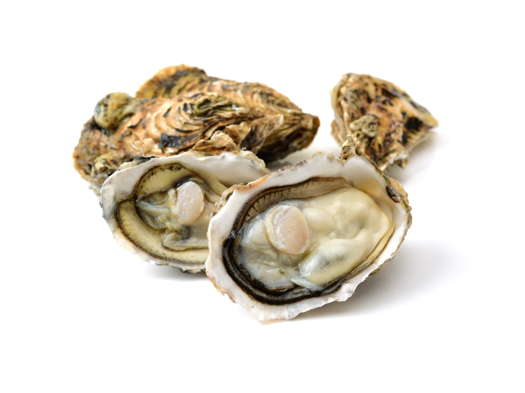 Huître Fine de Claire (Bretagne)