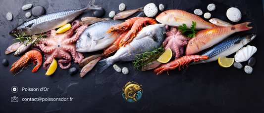 Poisson Ultra-Frais en Livraison : Pourquoi Poisson d’Or Va Changer Votre Façon de Consommer la Mer