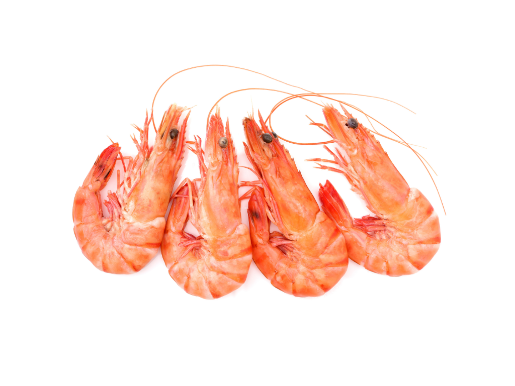Crustacés