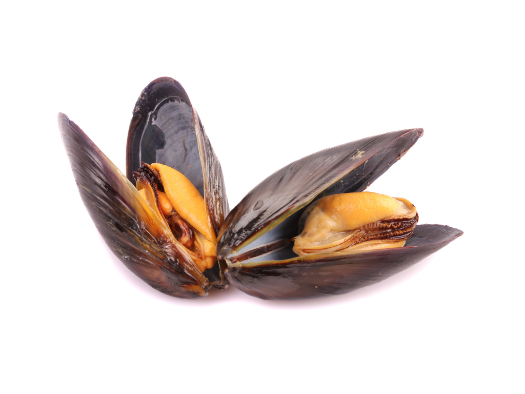 Moule d'Espagne PAC (3,00 kg)