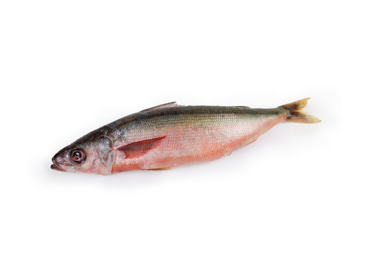 Truite entière (3,00 Kg)