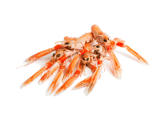 Langoustine 10/15 (1,00 Kg)