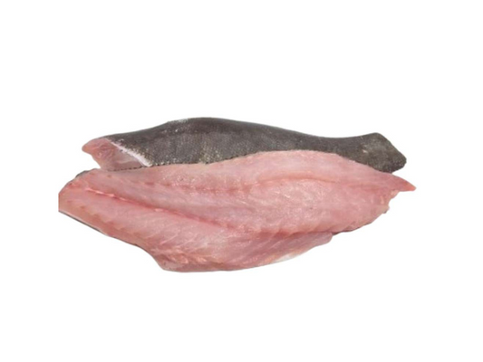 Filet de mérou