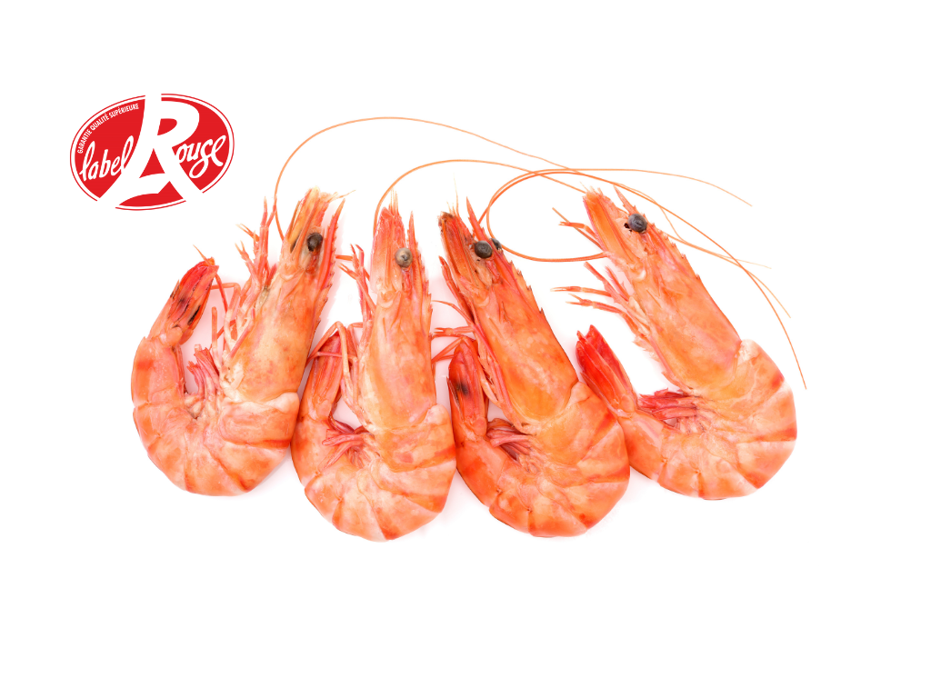 Crevette cuite de Madagascar Label Rouge (2,00 Kg)
