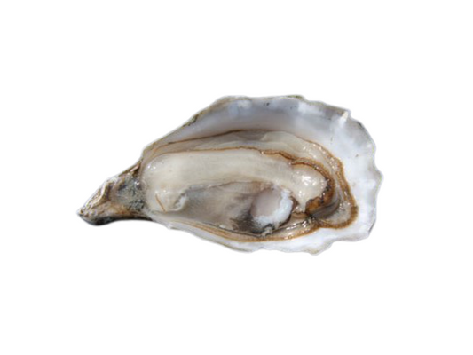 Huître Celtique (1,50 Kg)