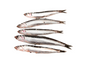 Filets de Sardine au Basilic (1,00 kg)