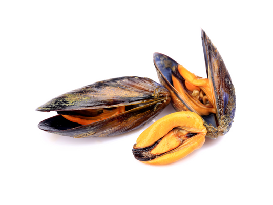Moule de Hollande PAC 80+  (2 Kg )