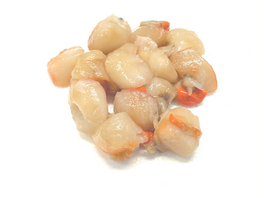 Noix de pétoncle (Noix de Saint-Jacques Petit Calibre) (2,00 kg)